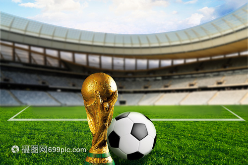 只有当足协 只有当足协